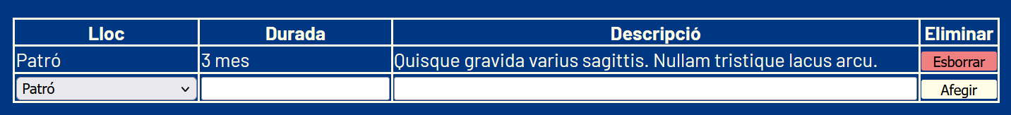 Taula Experiència Laboral